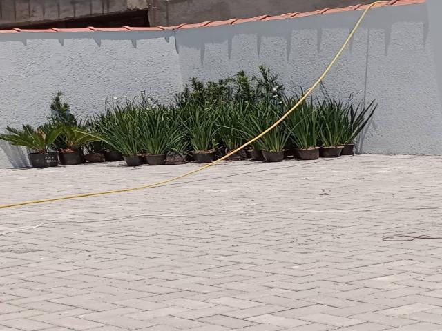 #64 - Casa para Venda em Itanhaém - SP