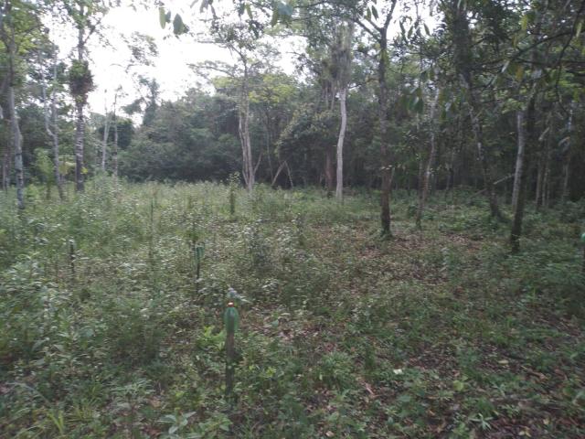 #82 - Chácara para Venda em Itanhaém - SP - 2